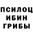 Галлюциногенные грибы MAGIC MUSHROOMS codewalters